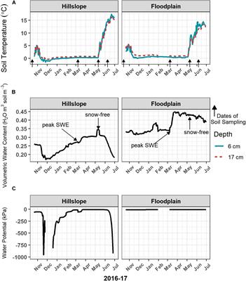 The Snowmelt Niche Differentiates Three <mark class="highlighted">Microbial Life</mark> Strategies That Influence Soil Nitrogen Availability During and After Winter